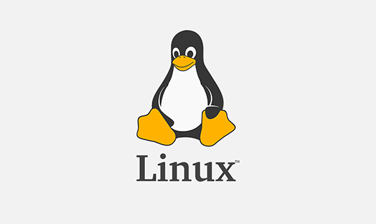 常用的Linux进程基本命令